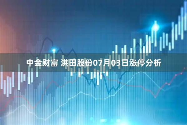 中金财富 洪田股份07月03日涨停分析