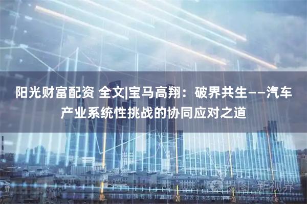 阳光财富配资 全文|宝马高翔：破界共生——汽车产业系统性挑战的协同应对之道